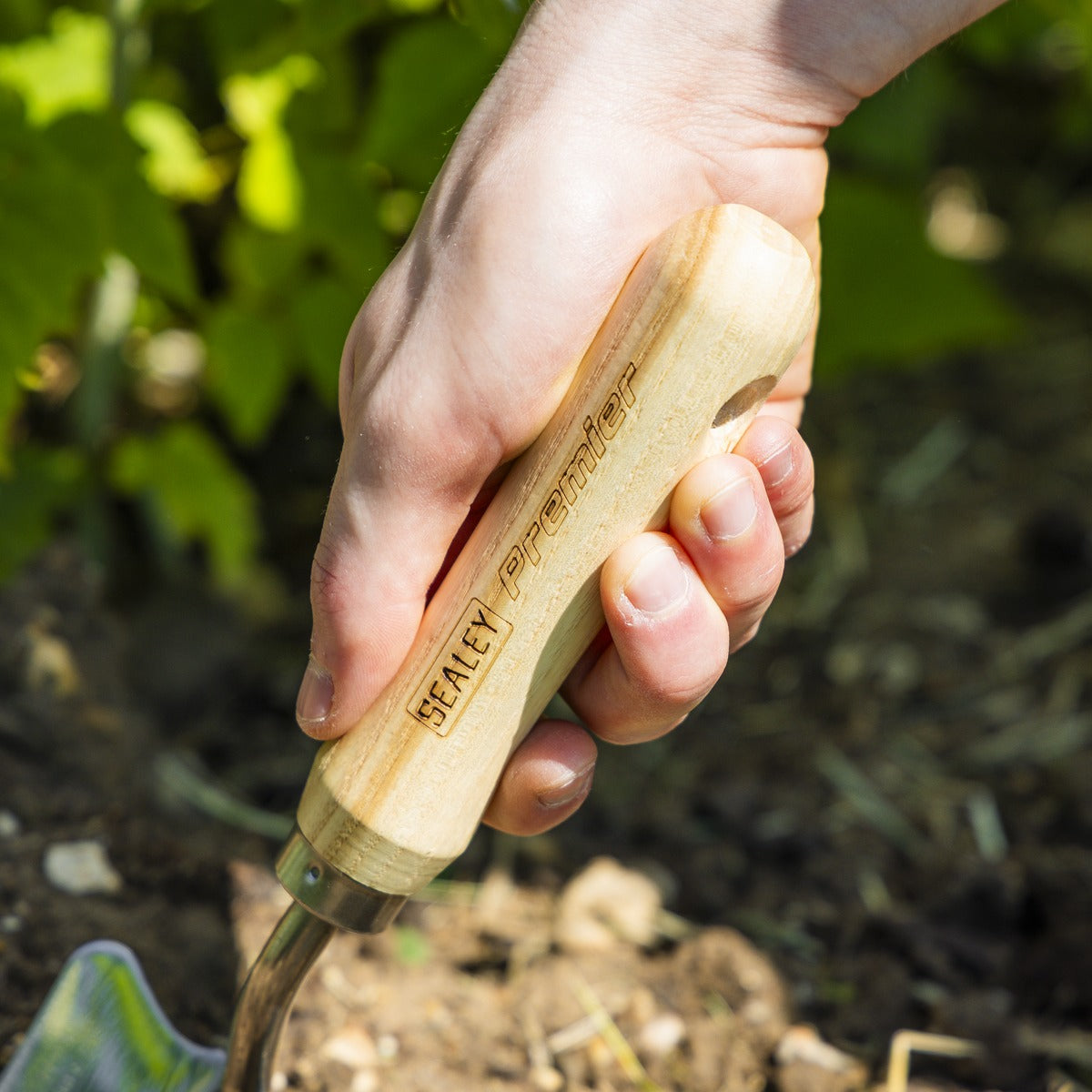 Premier Slim Head Trowel with Ash Handle & Stainless Steel Blade GTWH004