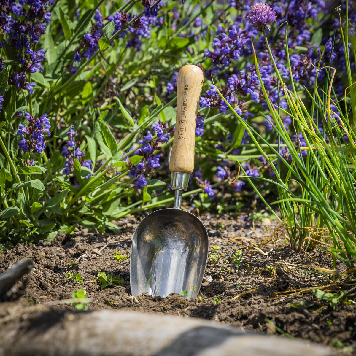 Premier Garden Scoop with Ash Handle & Stainless Steel Head GTWH006