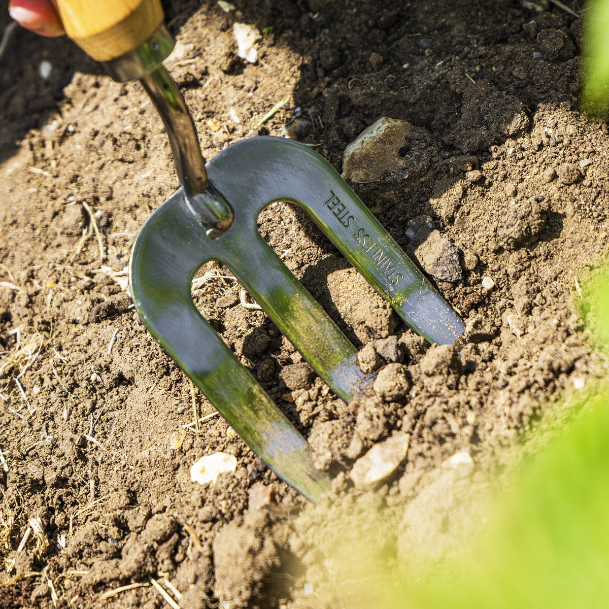 Premier Garden Hand Fork with Ash Handle & Stainless Steel Tines GTWH007