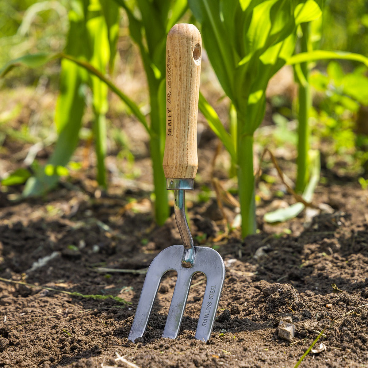 Premier Garden Hand Fork with Ash Handle & Stainless Steel Tines GTWH007
