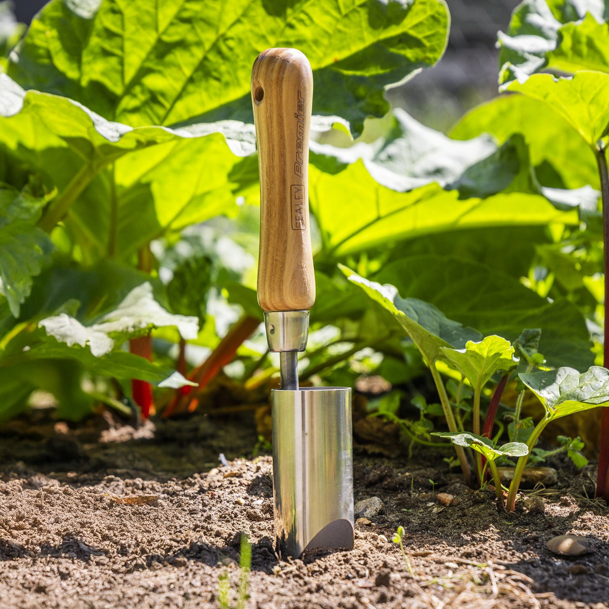 Premier Planter with Ash Handle & Stainless Steel Head GTWH008