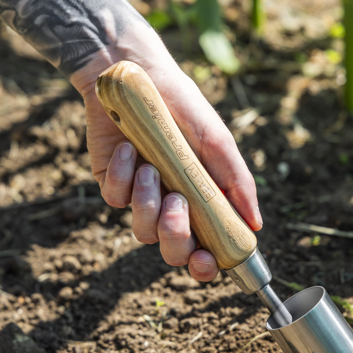Premier Planter with Ash Handle & Stainless Steel Head GTWH008