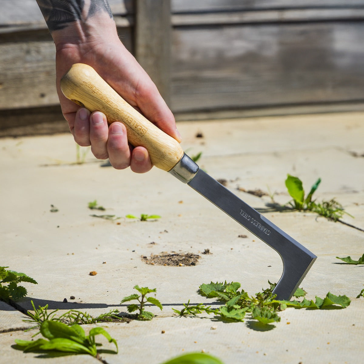 Premier Weeding Knife with Ash Handle & Stainless Steel Blade GTWH009