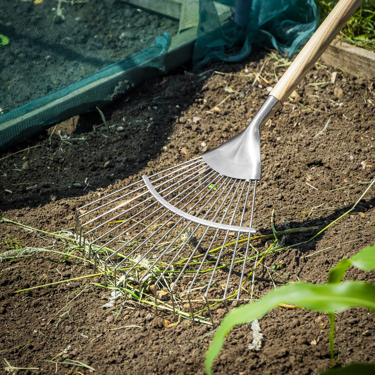Premier Lawn Rake with Long Ash Handle & Stainless Steel Tines GTWH010