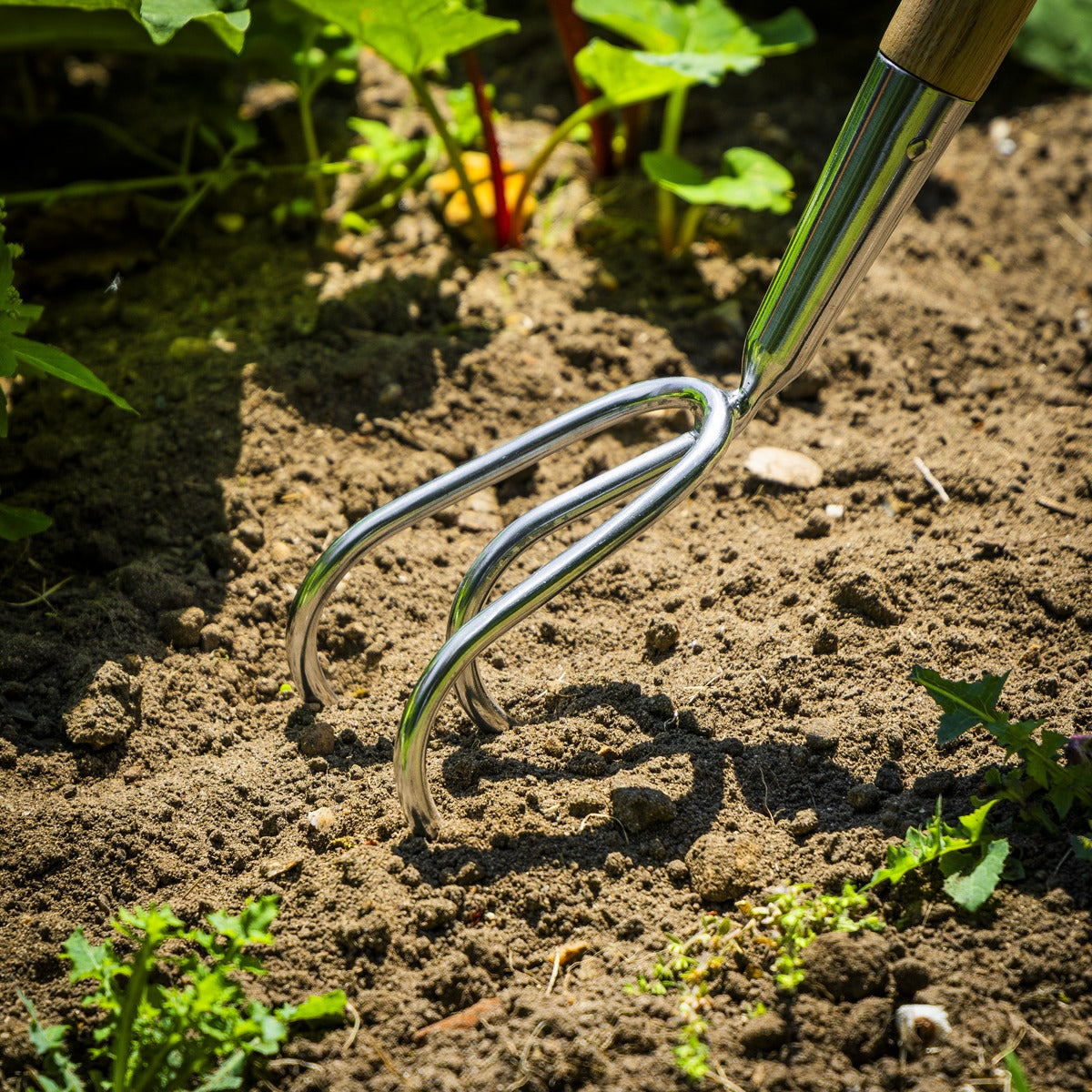 Premier Garden Cultivator with Ash Handle & Stainless Steel Tines GTWH012