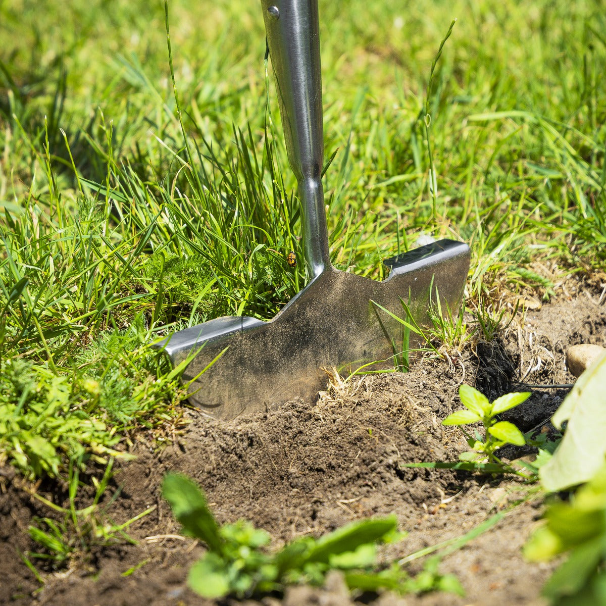 Premier Lawn Edger with Long Ash Handle & Stainless Steel Blade GTWH014