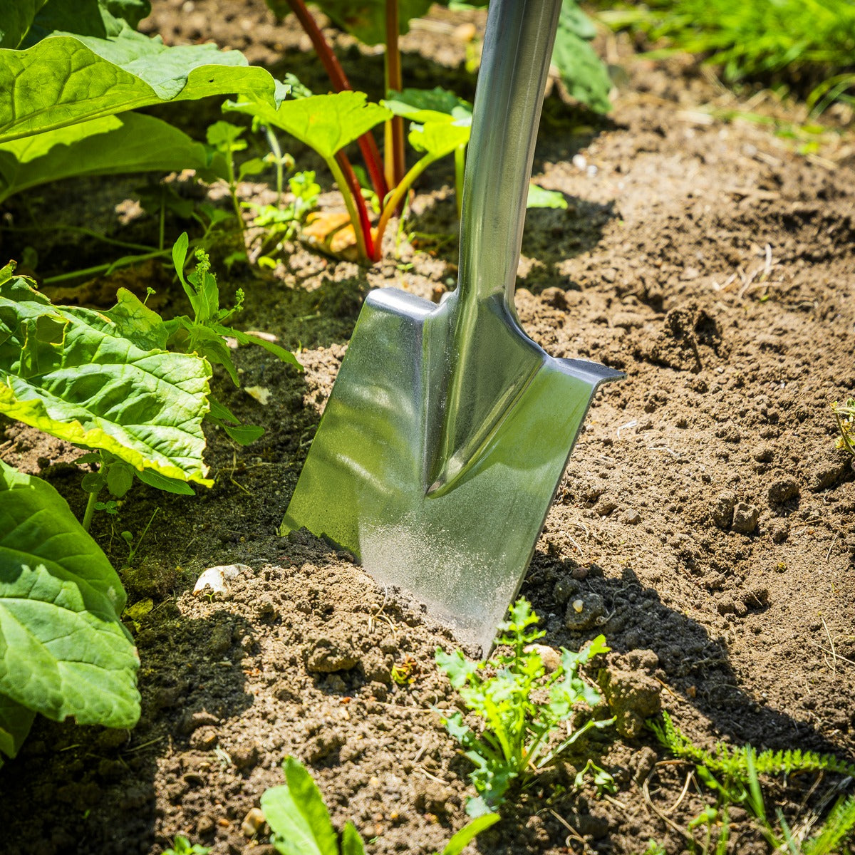 Premier Border Spade with Ash Y Handle & Stainless Steel Blade GTWH017