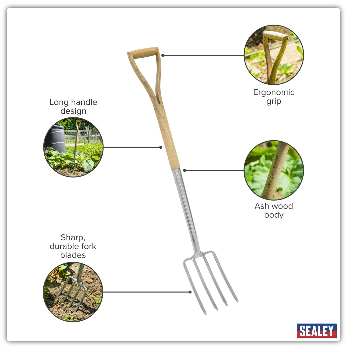 Premier Border Fork with Ash Handle & Stainless Steel Tines GTWH018