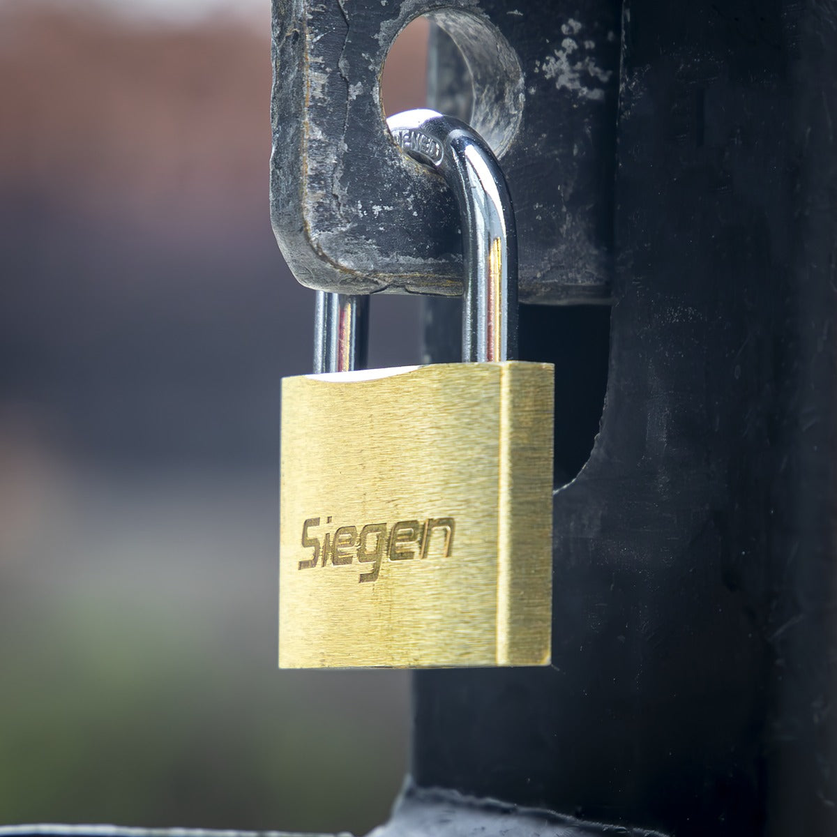 Siegen Brass Body Padlock with Brass Cylinder 40mm S0987