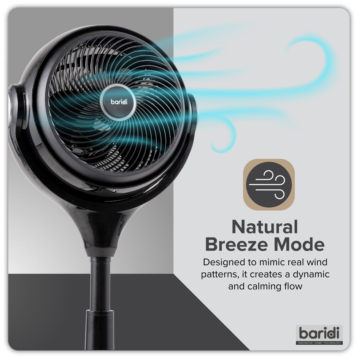Baridi 10" Pedestal Fan with Remote Control & 12hr Timer 230V - Black DH143