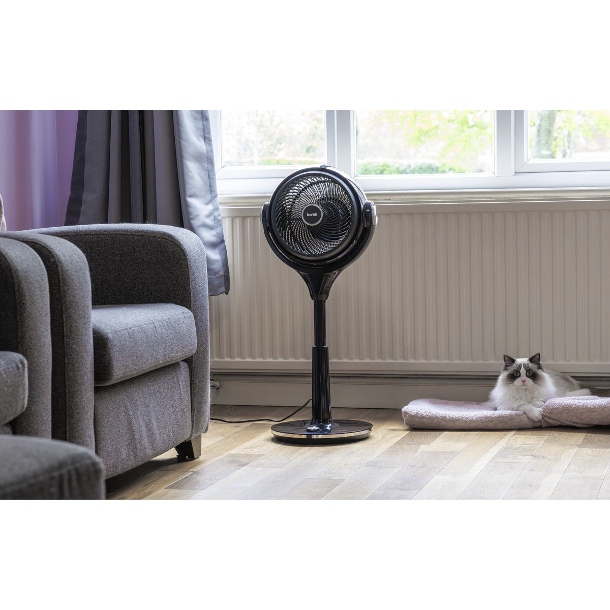 Baridi 10" Pedestal Fan with Remote Control & 12hr Timer 230V - Black DH143