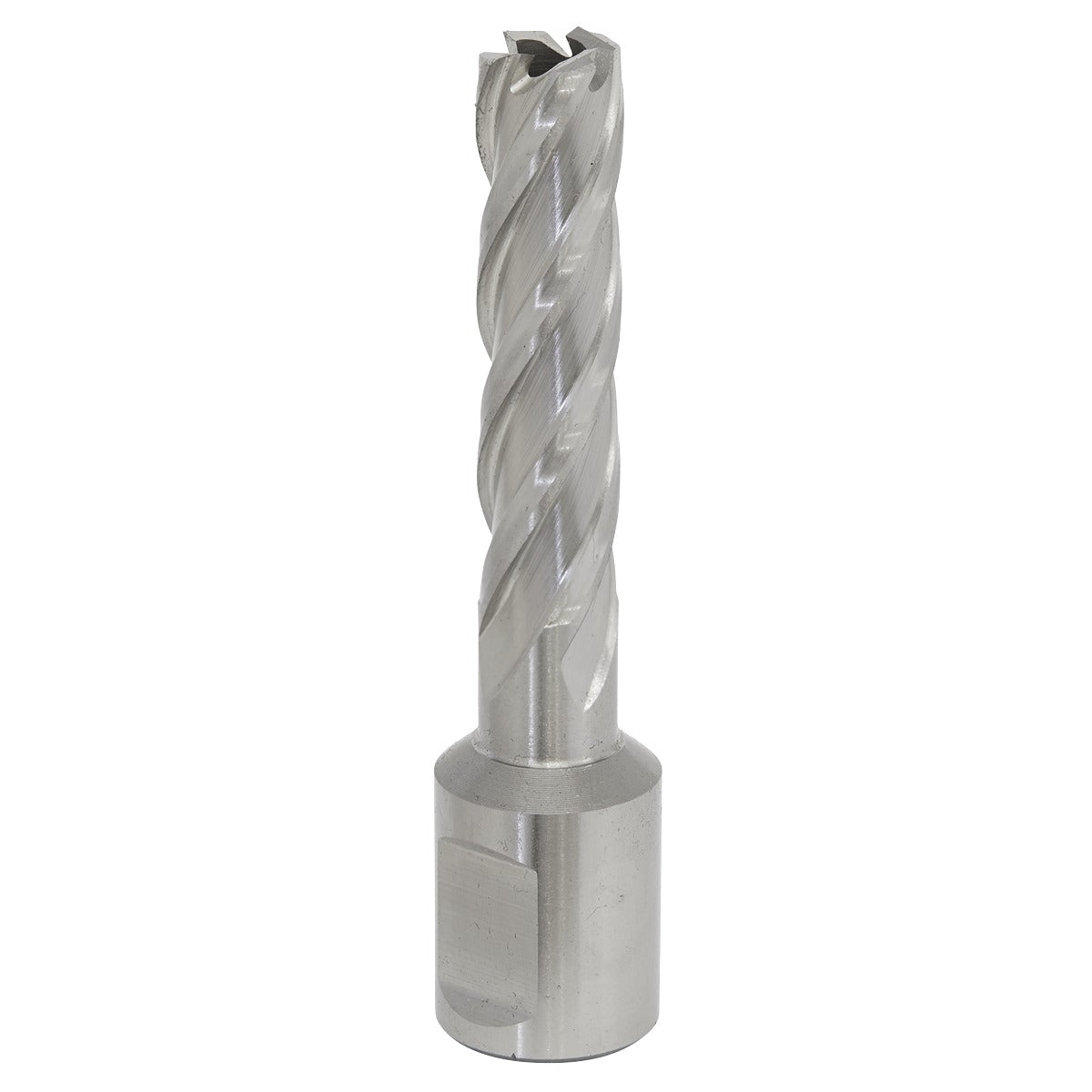 Worksafe 12mm HSS Mag Drill Bit Cut Depth 50mm RBHSS12L