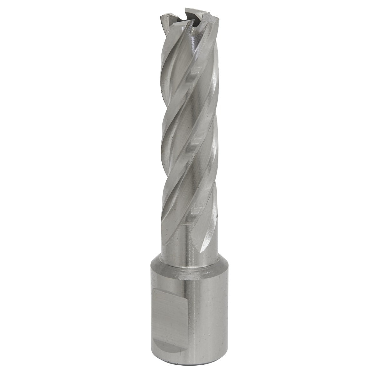 Worksafe 14mm HSS Mag Drill Bit Cut Depth 50mm RBHSS14L