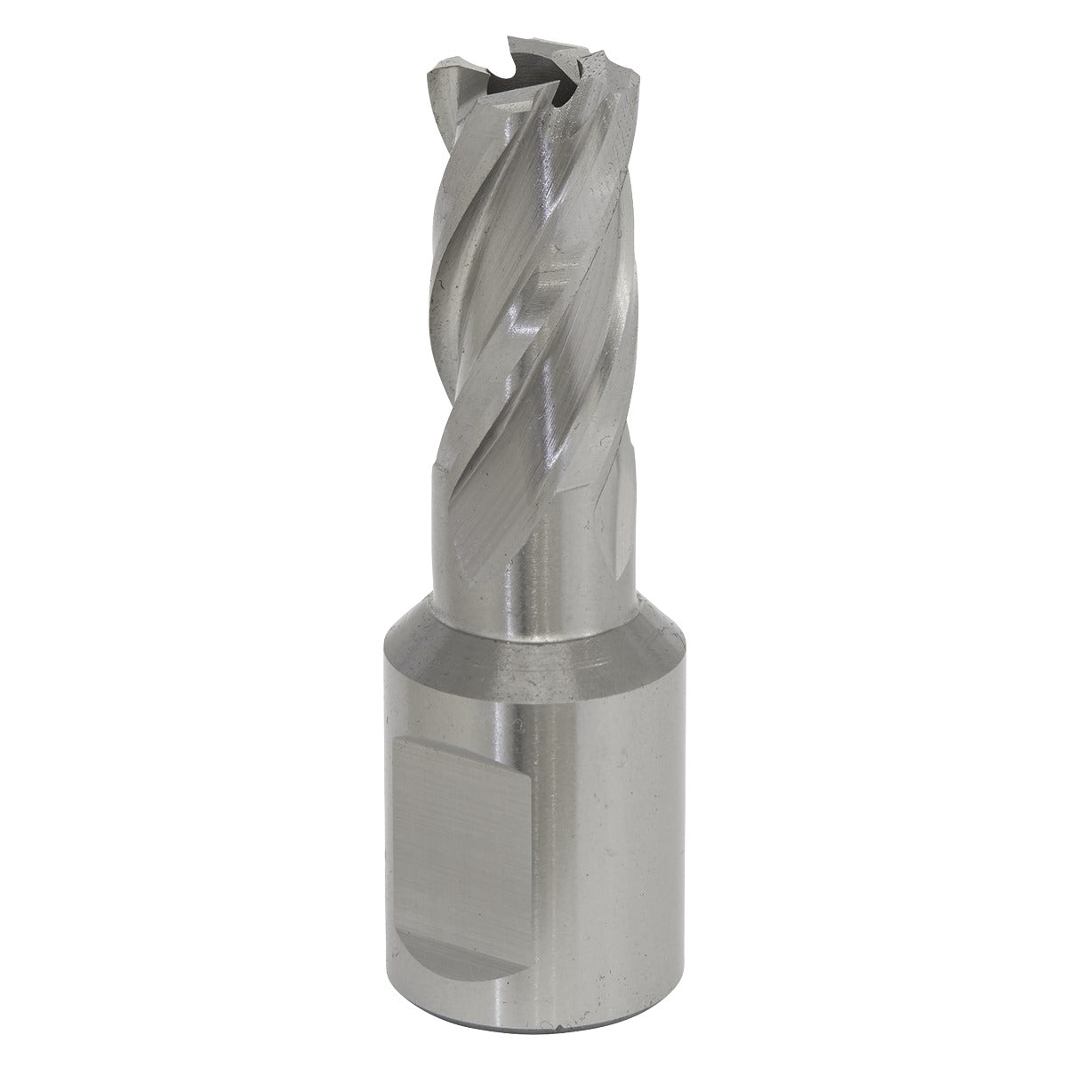 Worksafe 14mm HSS Mag Drill Bit Cut Depth 25mm RBHSS14S