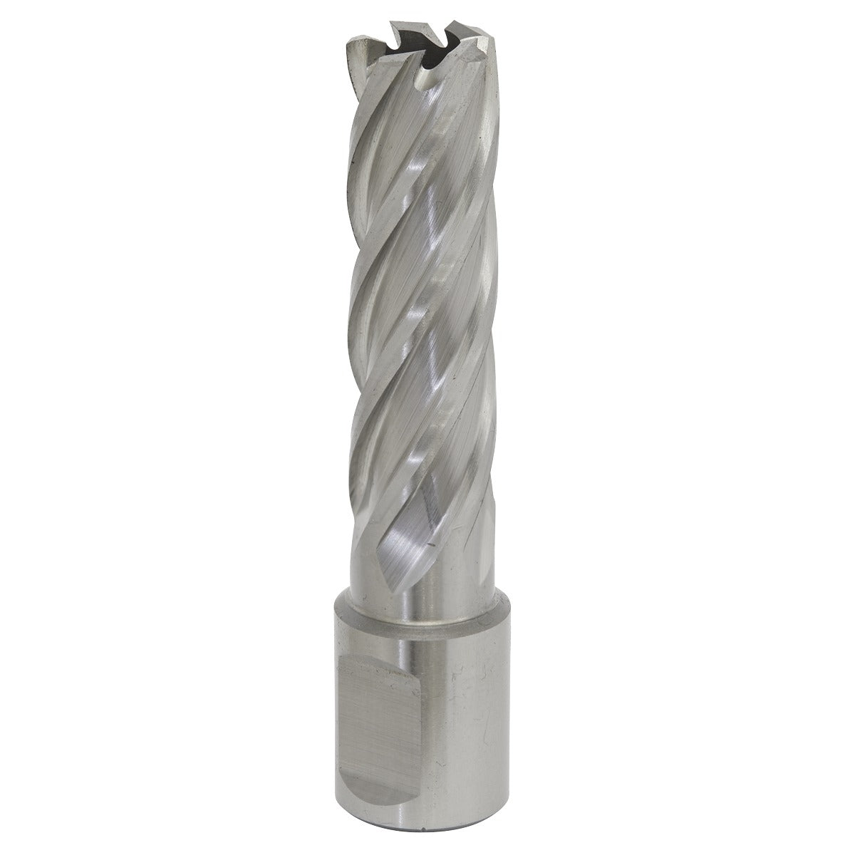 Worksafe 16mm HSS Mag Drill Bit Cut Depth 50mm RBHSS16L