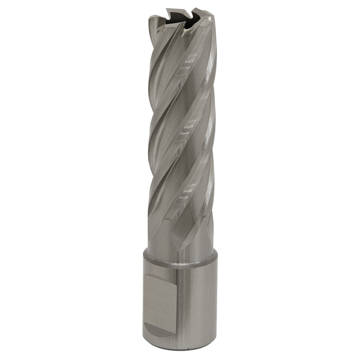 Worksafe 17mm HSS Mag Drill Bit Cut Depth 50mm RBHSS17L