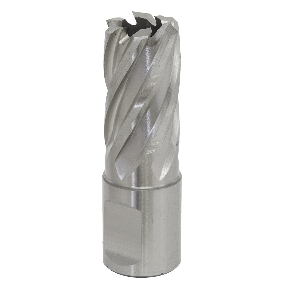 Worksafe 17mm HSS Mag Drill Bit Cut Depth 25mm RBHSS17S