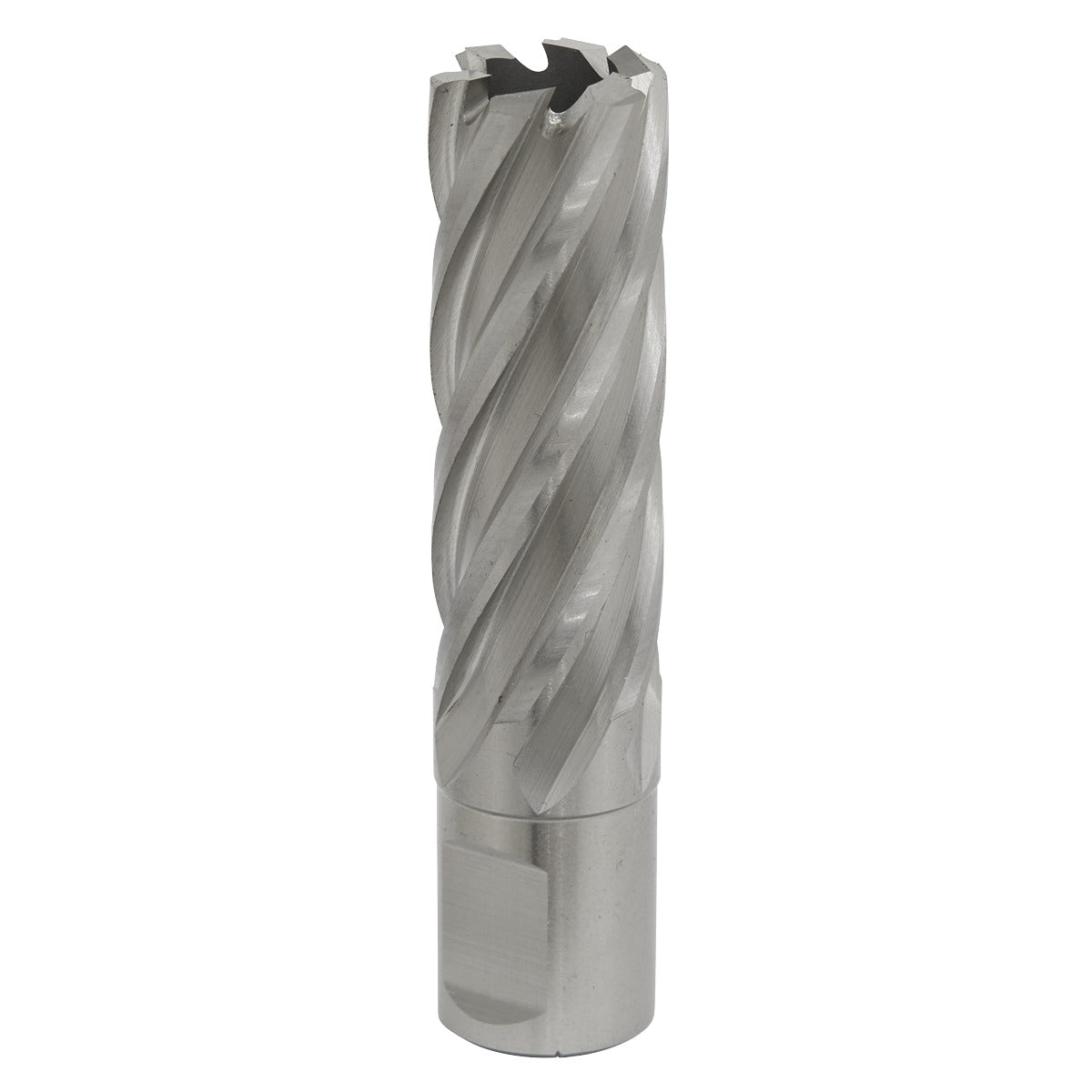Worksafe 20mm HSS Mag Drill Bit Cut Depth 50mm RBHSS20L