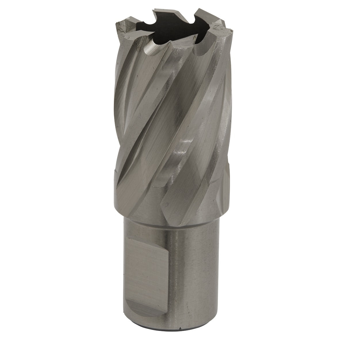 Worksafe 22mm HSS Mag Drill Bit Cut Depth 25mm RBHSS22S