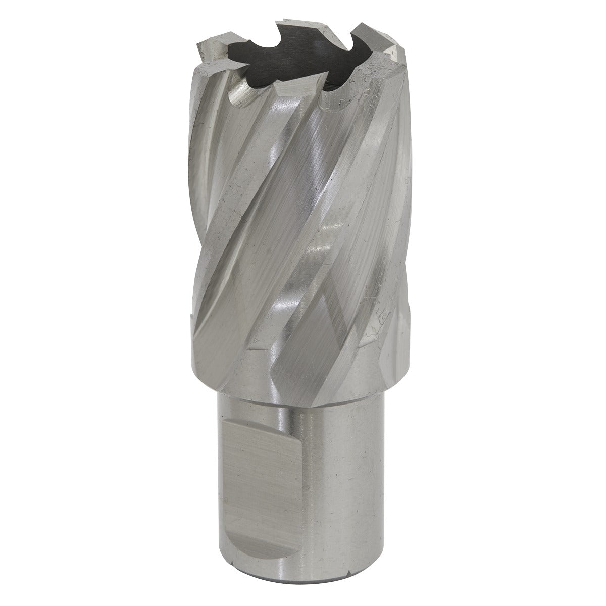 Worksafe 25mm HSS Mag Drill Bit Cut Depth 25mm RBHSS25S