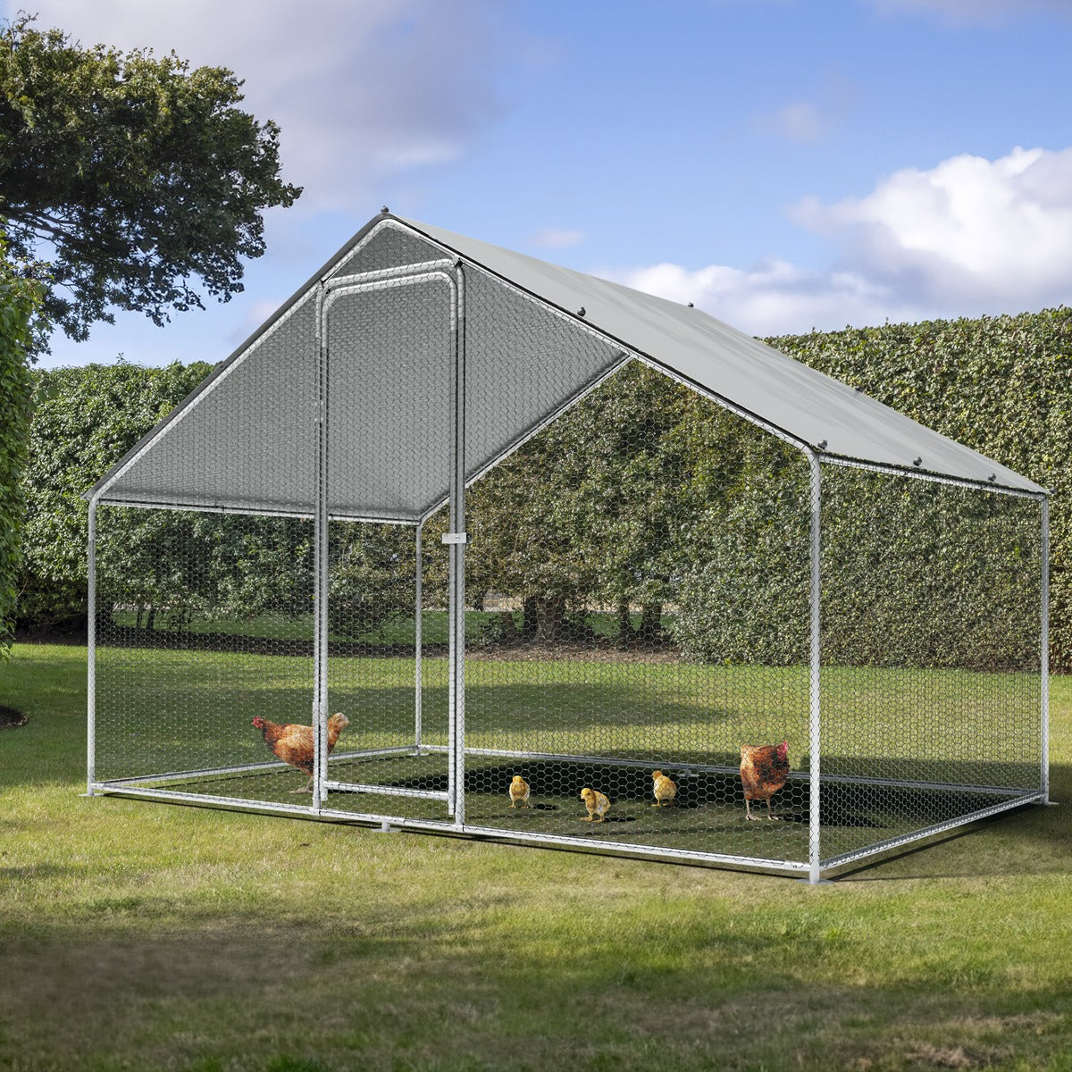 Dellonda Walk-In Galvanized Steel Chicken Run with Roof Cover & PVC Coated Chicken Wire DG278