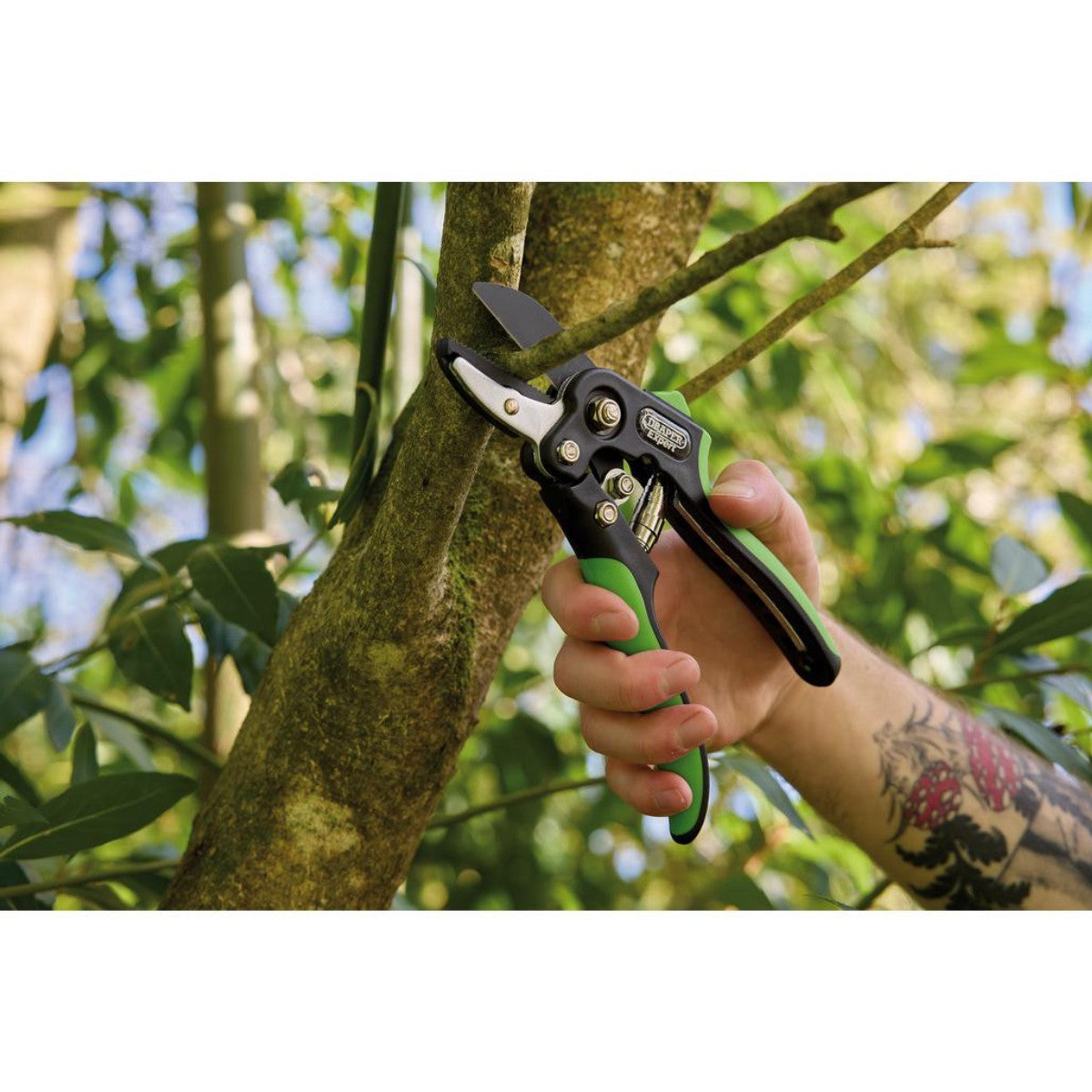 Draper Expert Anvil and Bypass Secateurs Set, 200mm (2 Piece) 08986