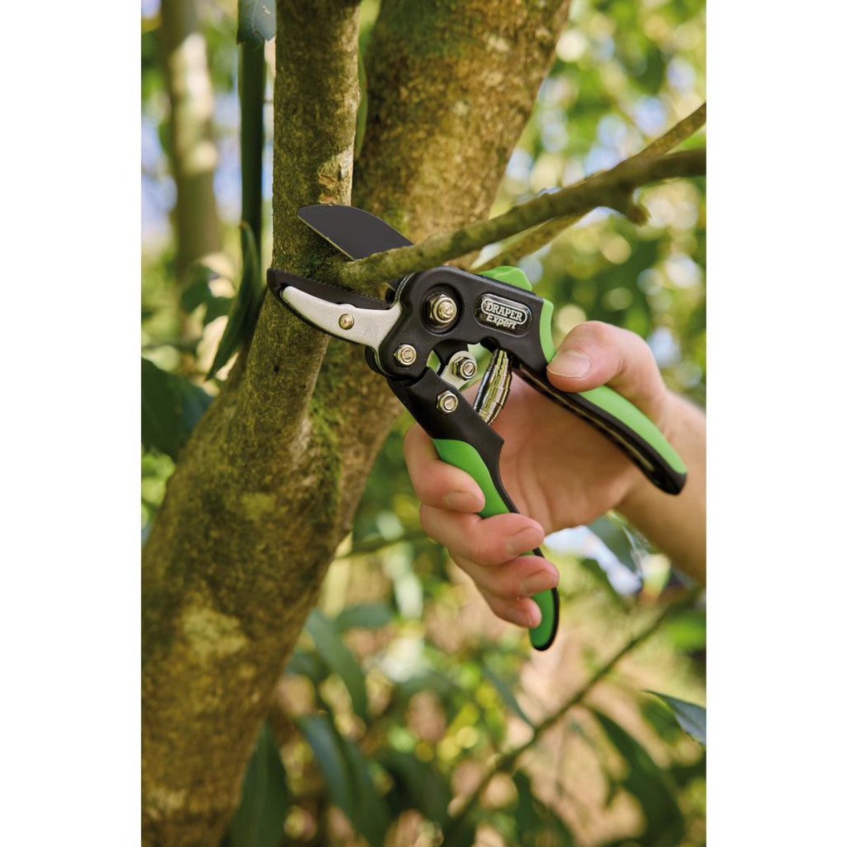 Draper Expert Anvil and Bypass Secateurs Set, 200mm (2 Piece) 08986