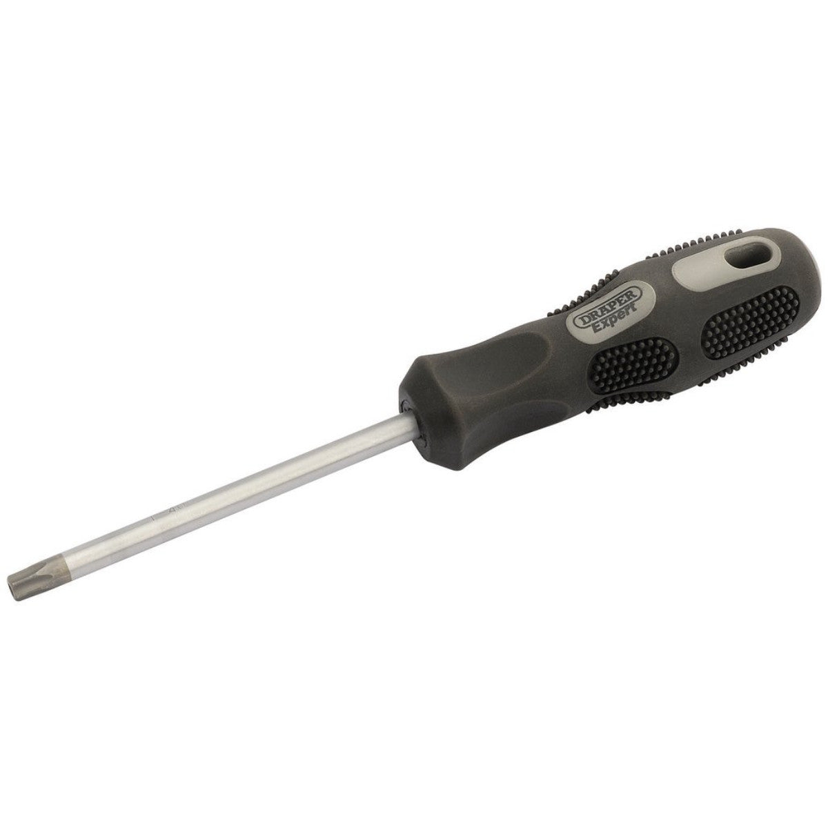 Draper Expert TX-STAR Security Driver, T40T x 100mm 10868