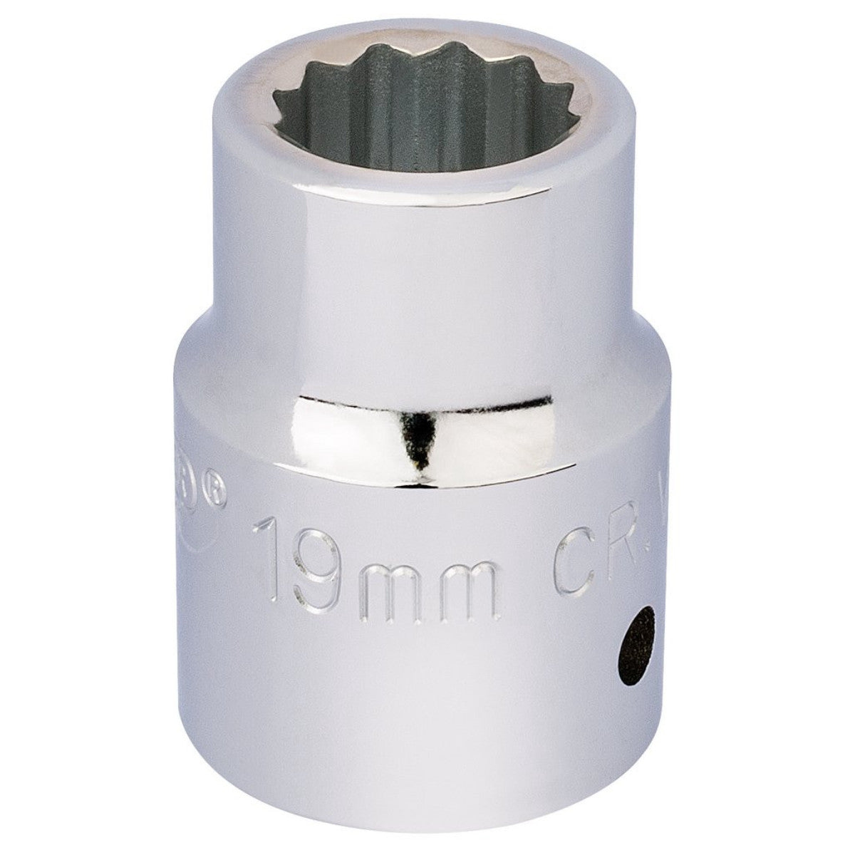 Draper Expert 12 Point Socket, 3/4" Sq. Dr., 19mm 16690