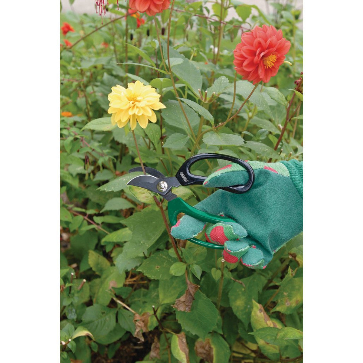 Draper Soft Grip Garden Scissor Set (2 Piece) 18299