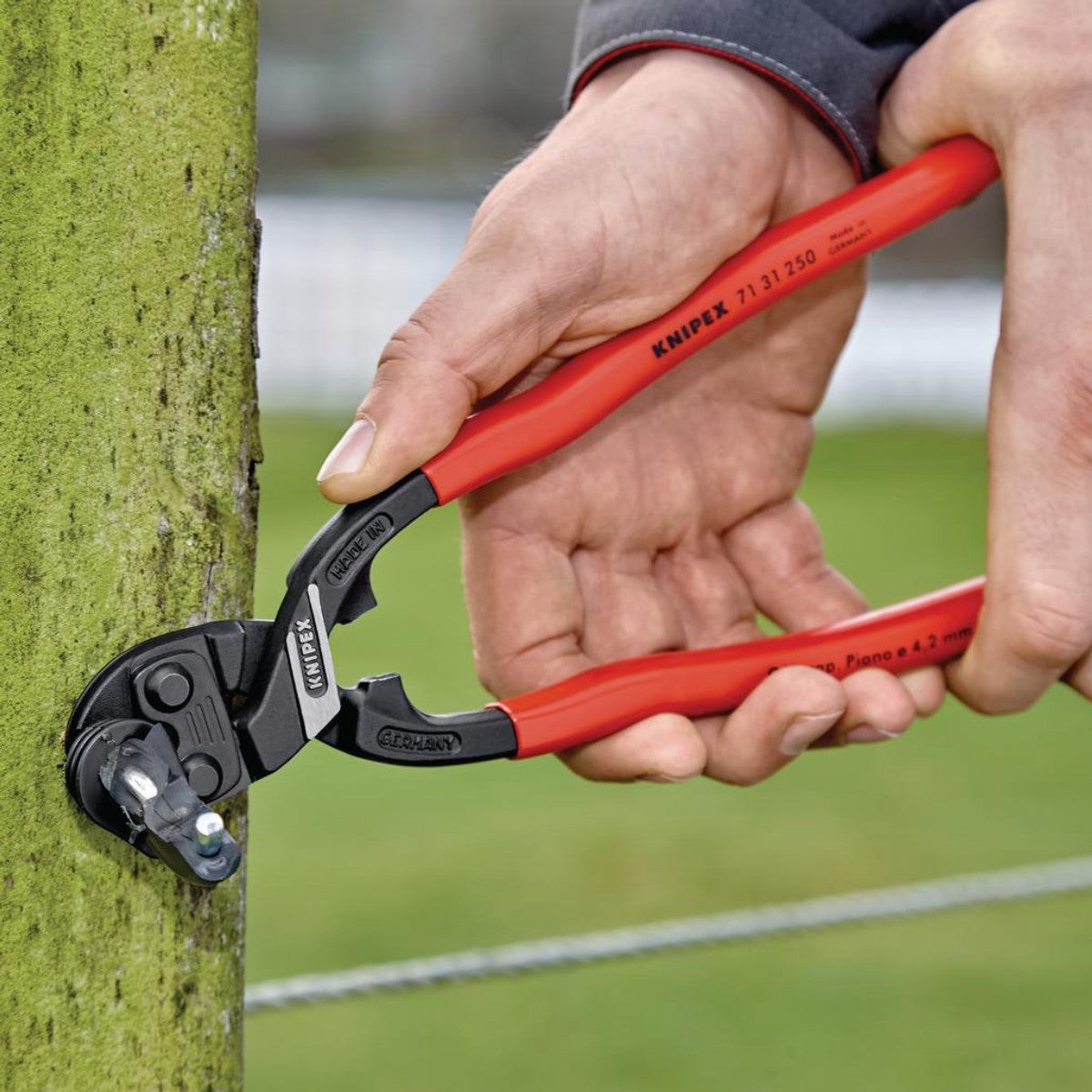 Knipex 71 31 250 SB CoBolt XL Compact Bolt Cutter, 250mm 25577
