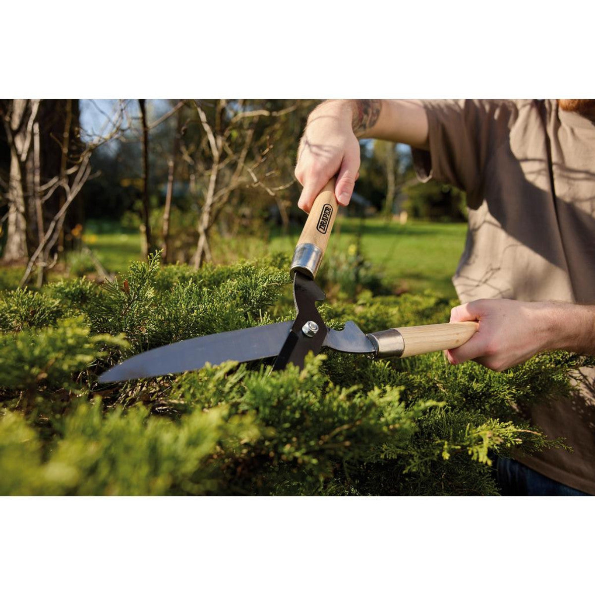 Draper Straight Edge Garden Shears with Ash Handles, 230mm 36784