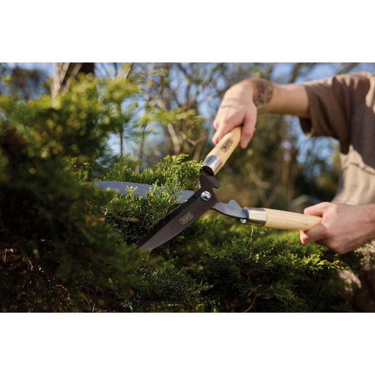 Draper Straight Edge Garden Shears with Ash Handles, 230mm 36784