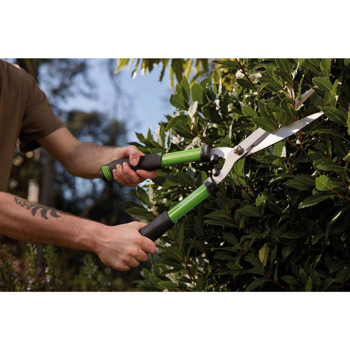 Draper Soft Grip Straight Edge Garden Shears, 190mm 36800