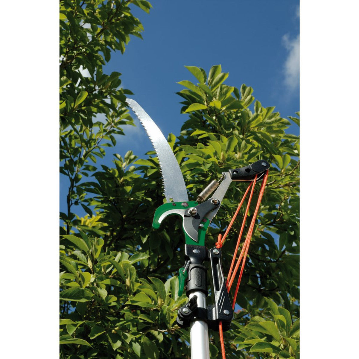 Draper Expert Tree Pruner with Telescopic Handle, 32mm Diameter 45334