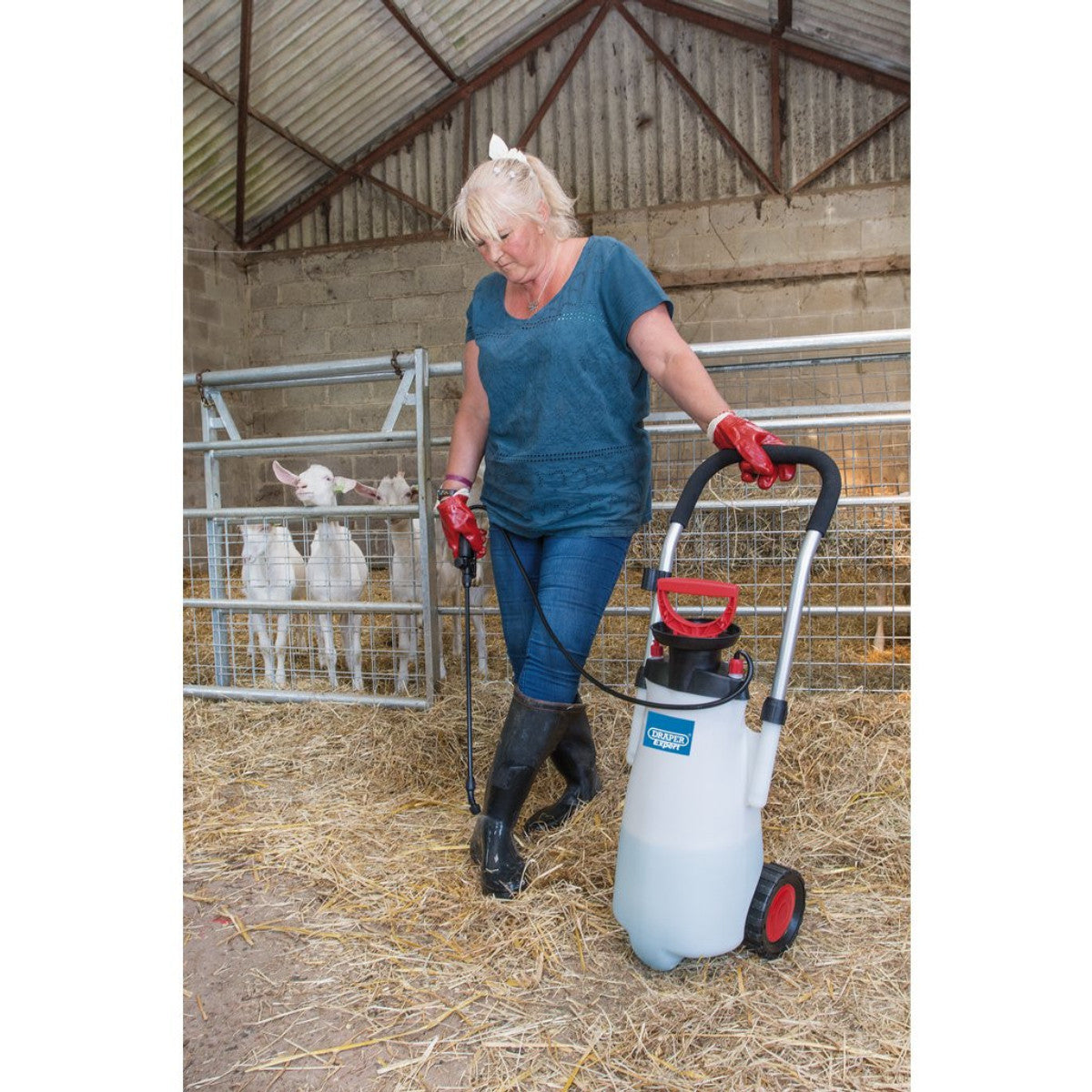 Draper Expert EPDM Trolley Pump Sprayer, 15L 82583