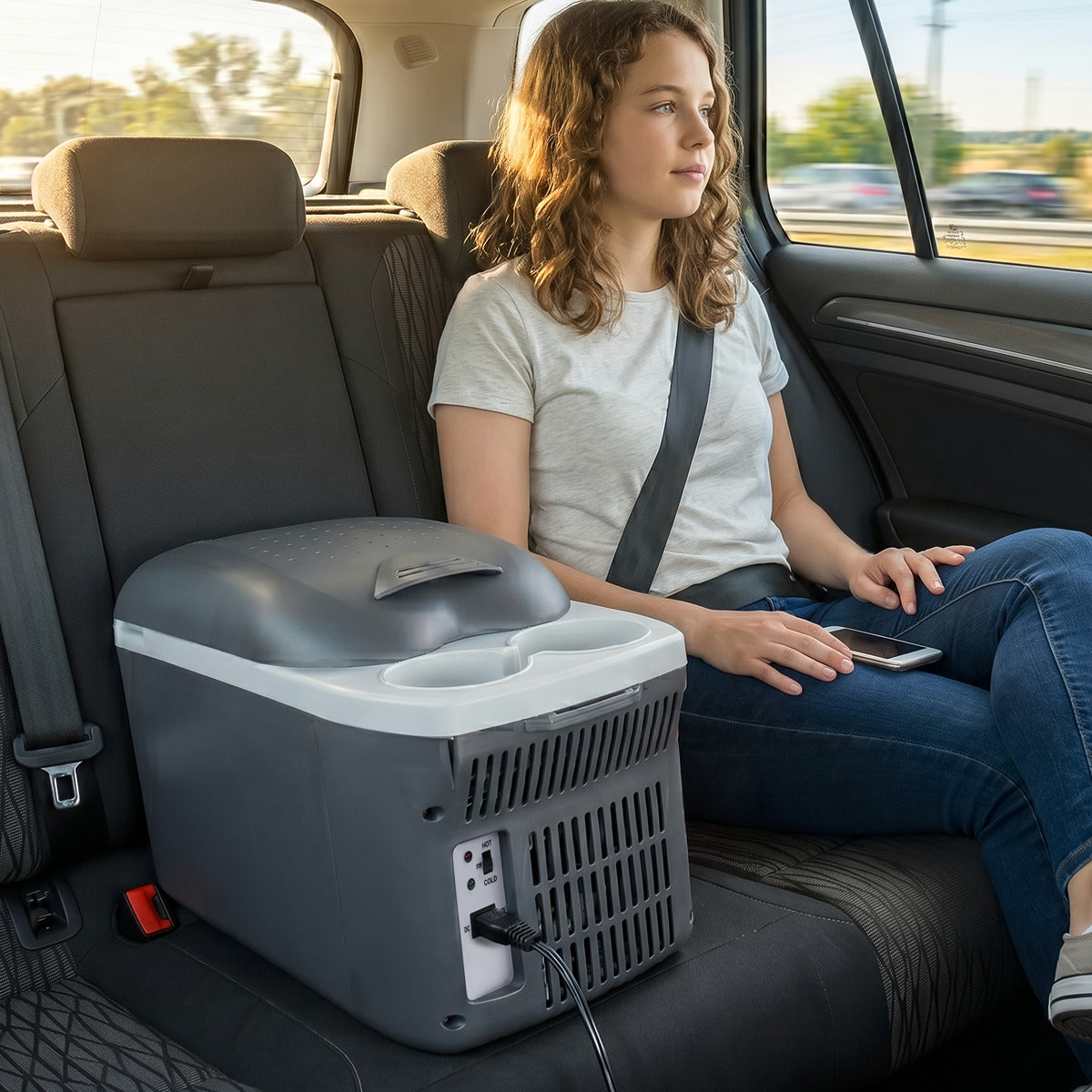 Dellonda 8L Portable Cool Box 12V DL166