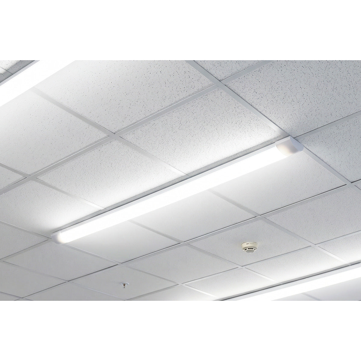 Sealey 5ft Batten Light 50W SMD LED 230V LED50BL
