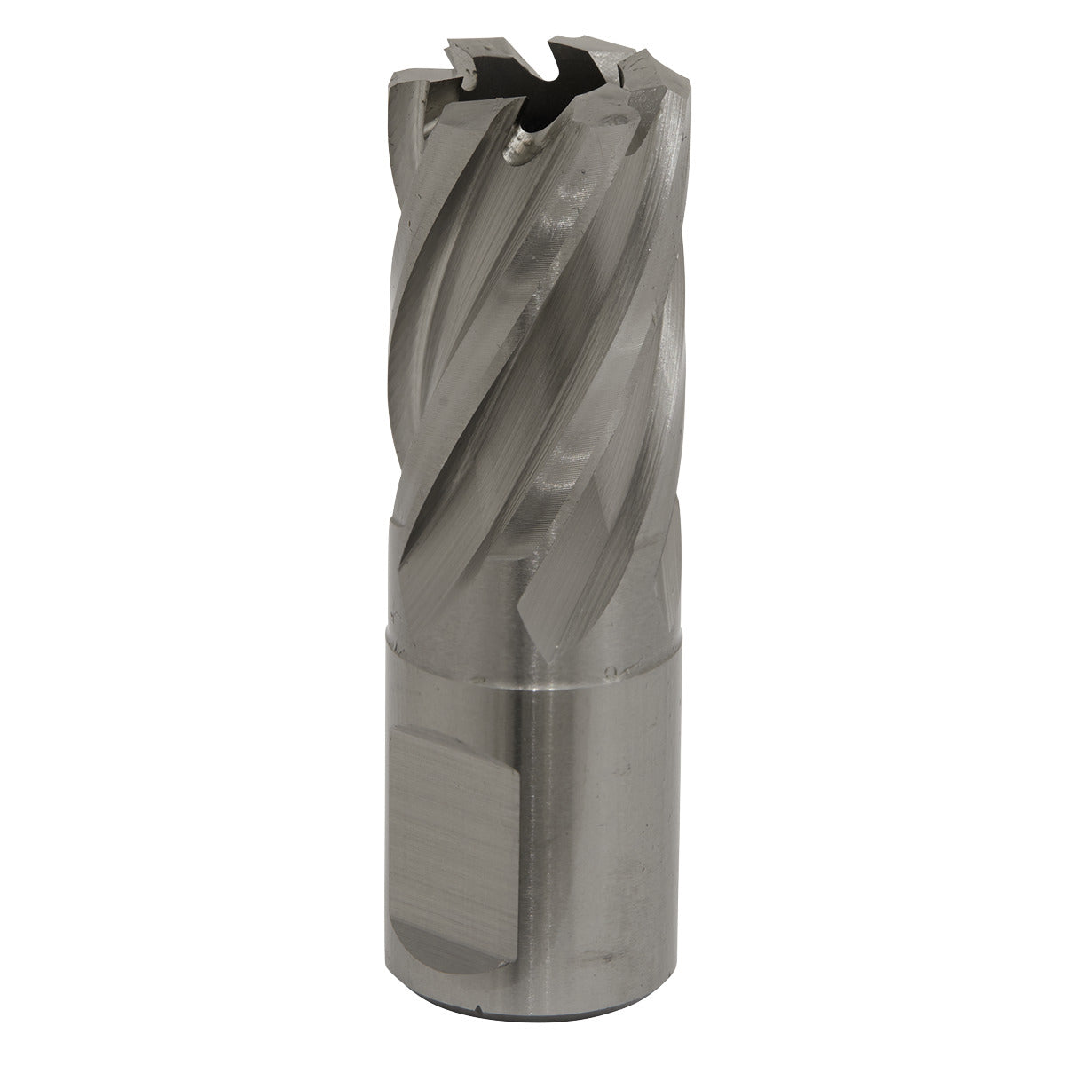 Worksafe 19mm HSS Mag Drill Bit Cut Depth 25mm RBHSS19S
