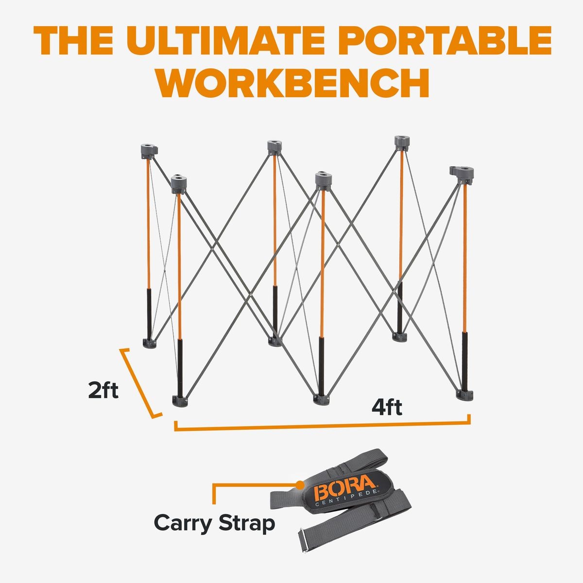 BORA Tall Centipede 2ft x 4ft x 36in Unit, Carry Strap CT6