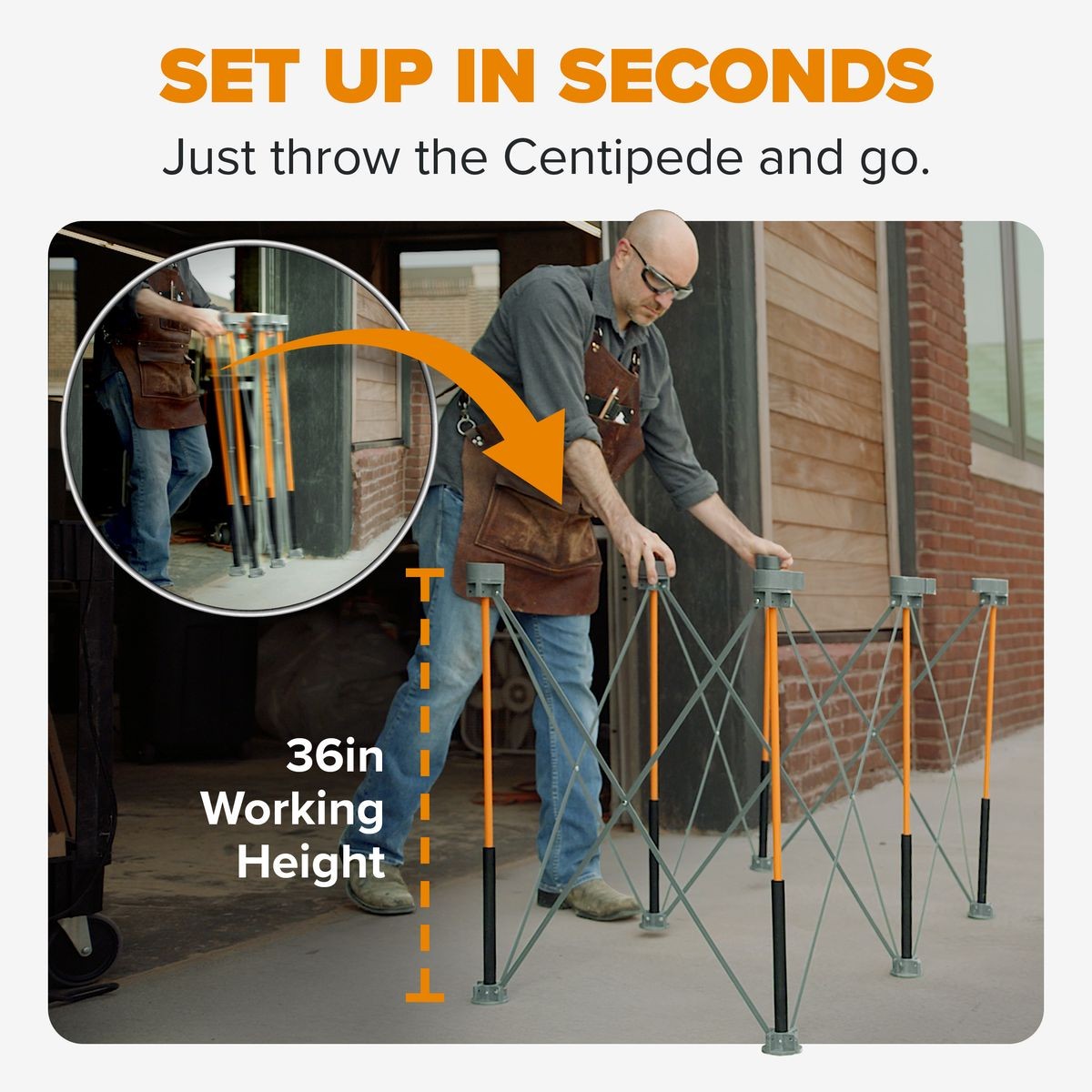 BORA Tall Centipede 2ft x 4ft x 36in Unit, Carry Strap CT6