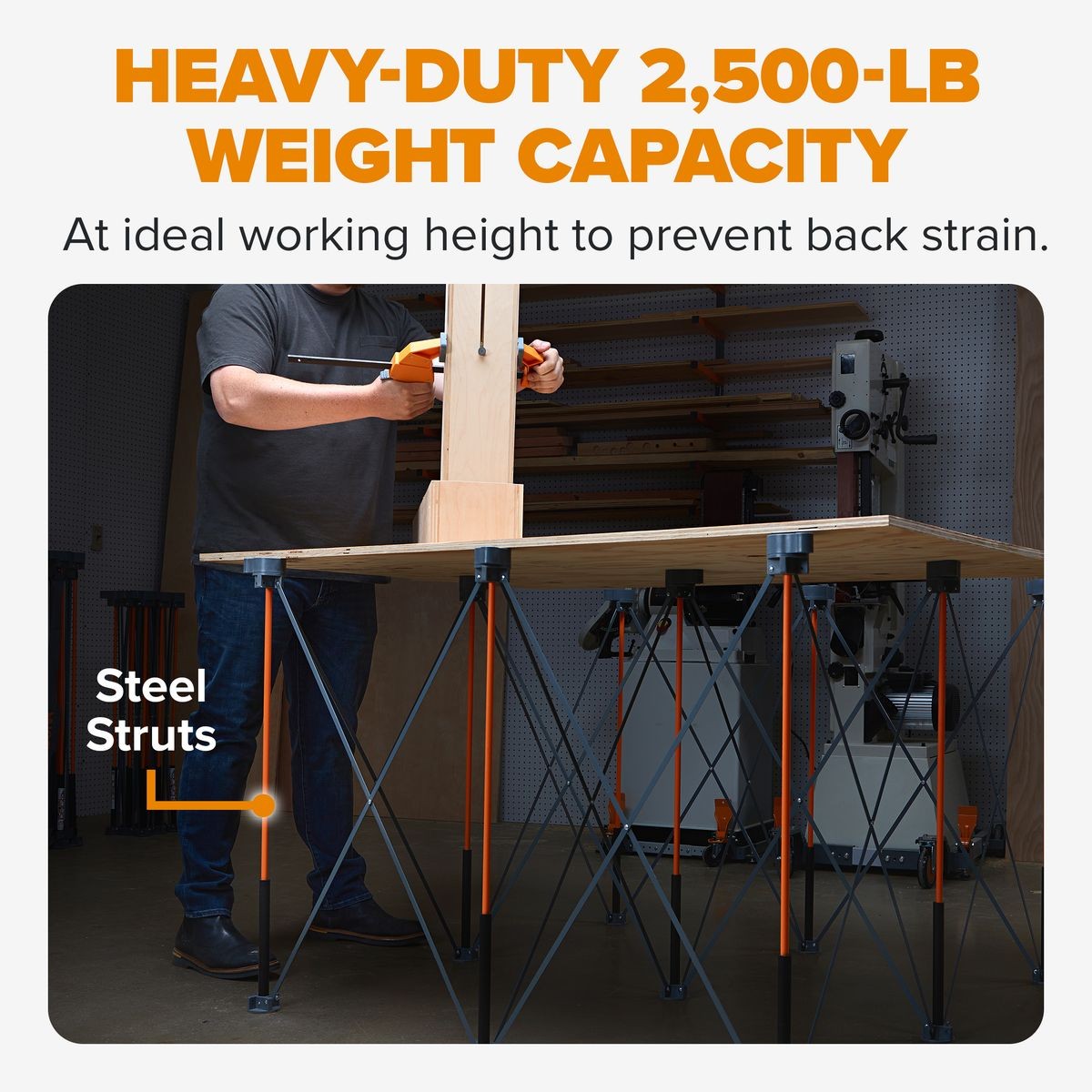 BORA Tall Centipede 2ft x 4ft x 36in Unit, Carry Strap CT6