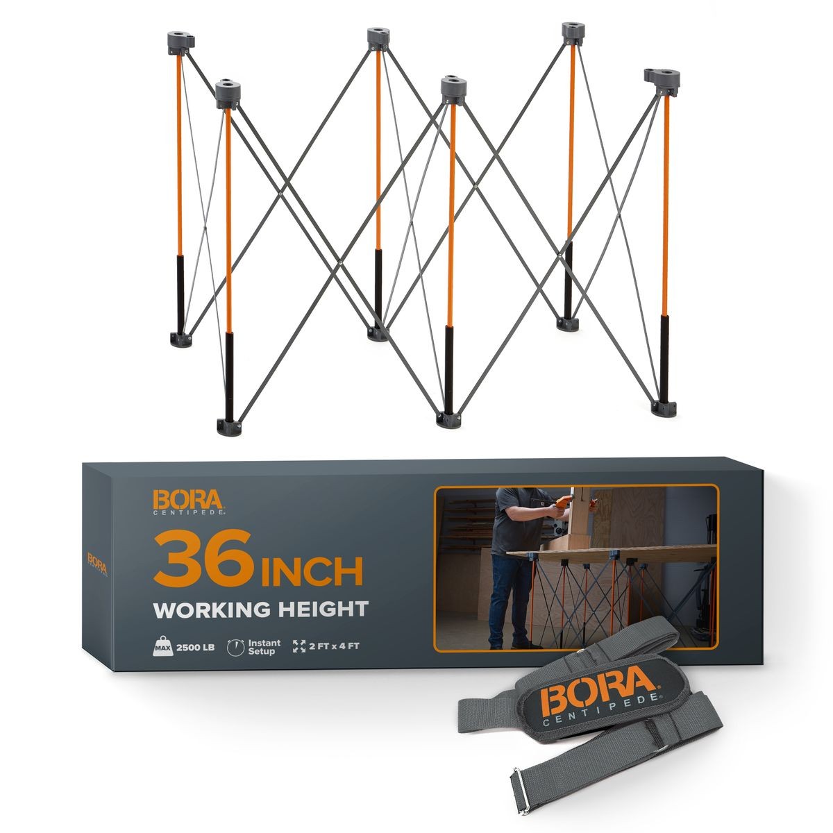 BORA Tall Centipede 2ft x 4ft x 36in Unit, Carry Strap CT6