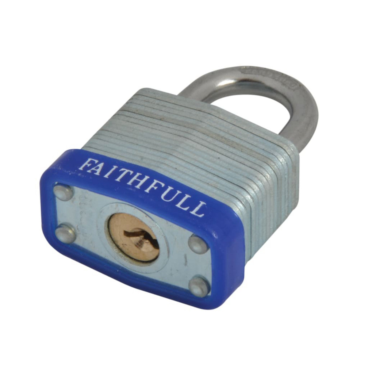 FAIPLLAM30