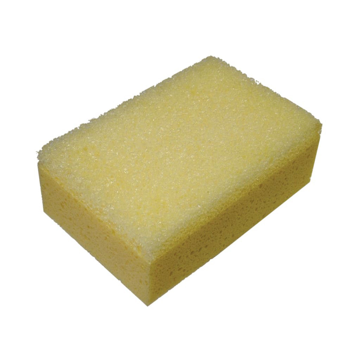 FAITLSPONGEH