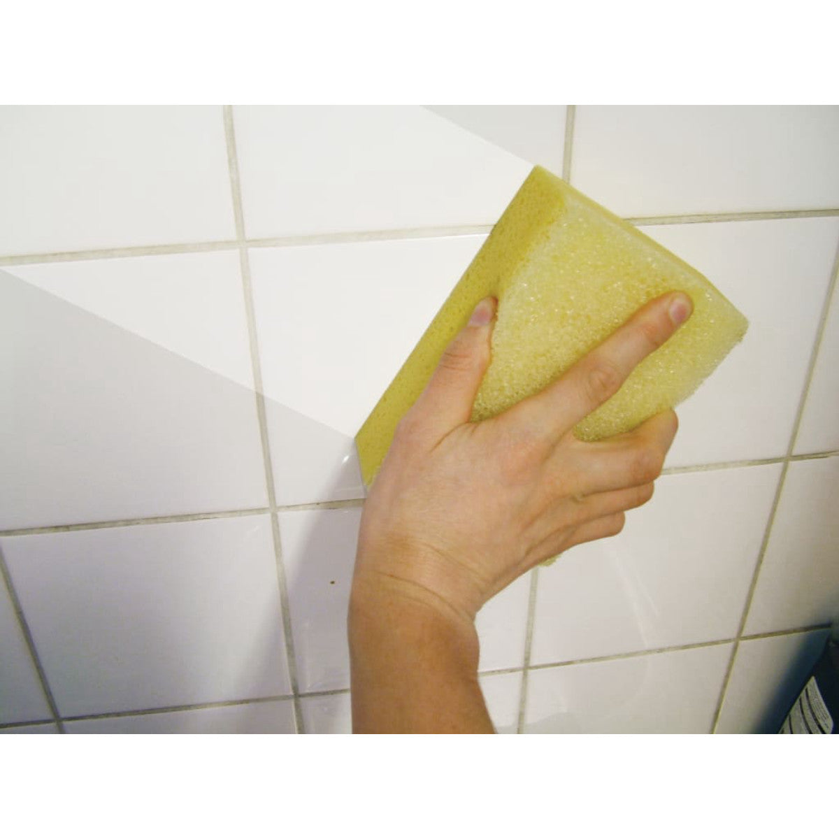 FAITLSPONGEH
