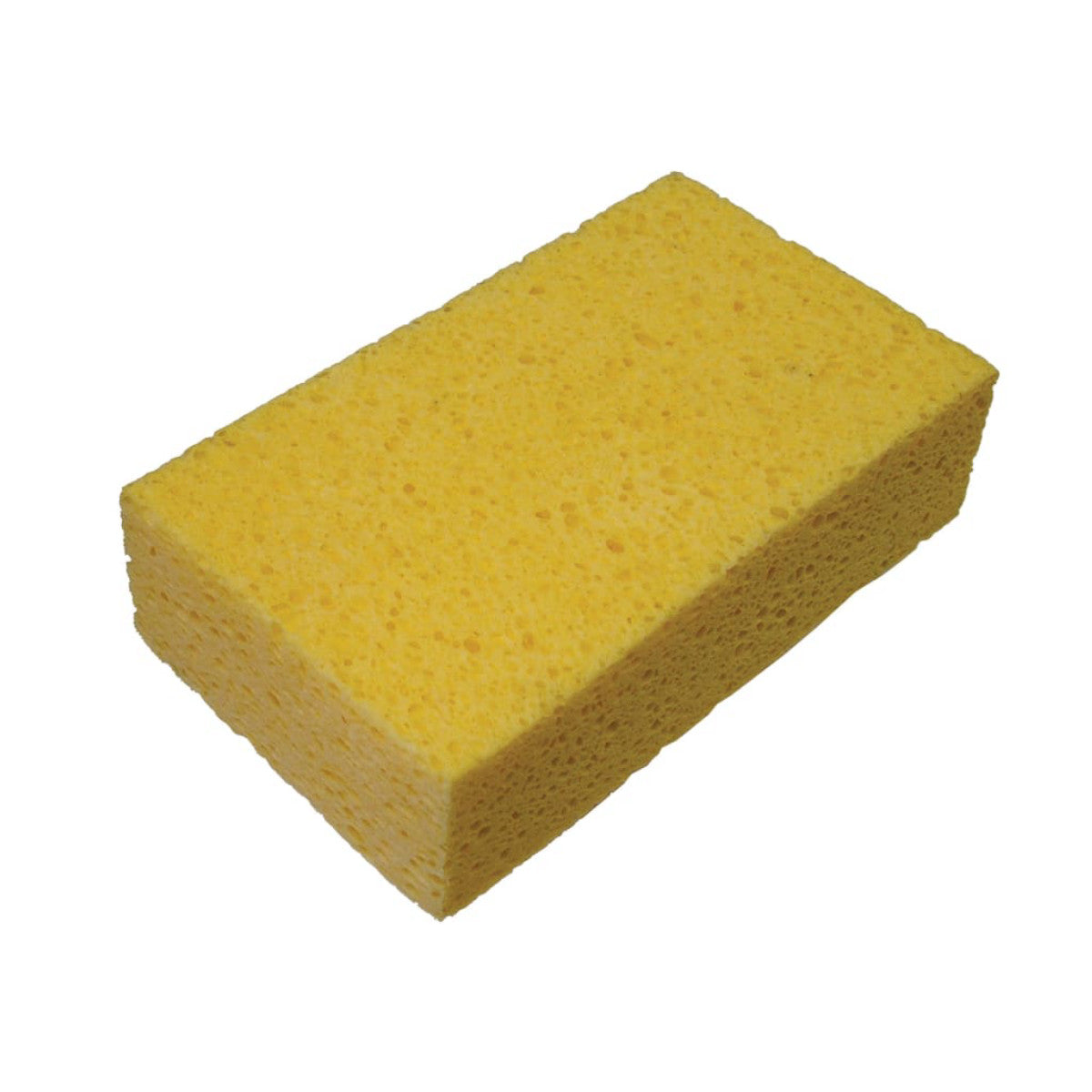 FAITLSPONGE