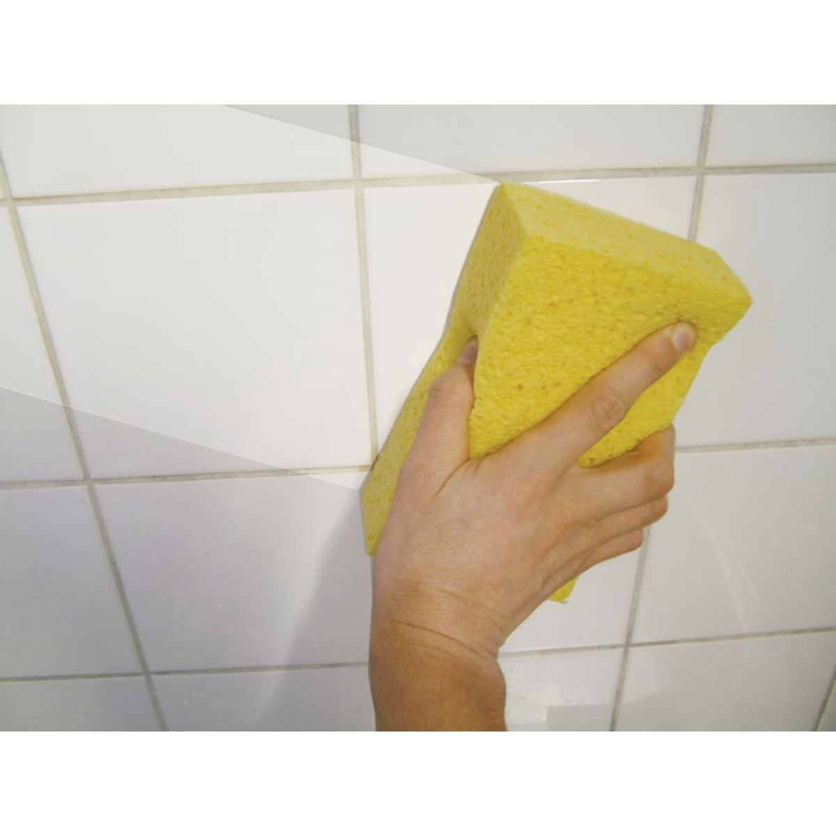 FAITLSPONGE