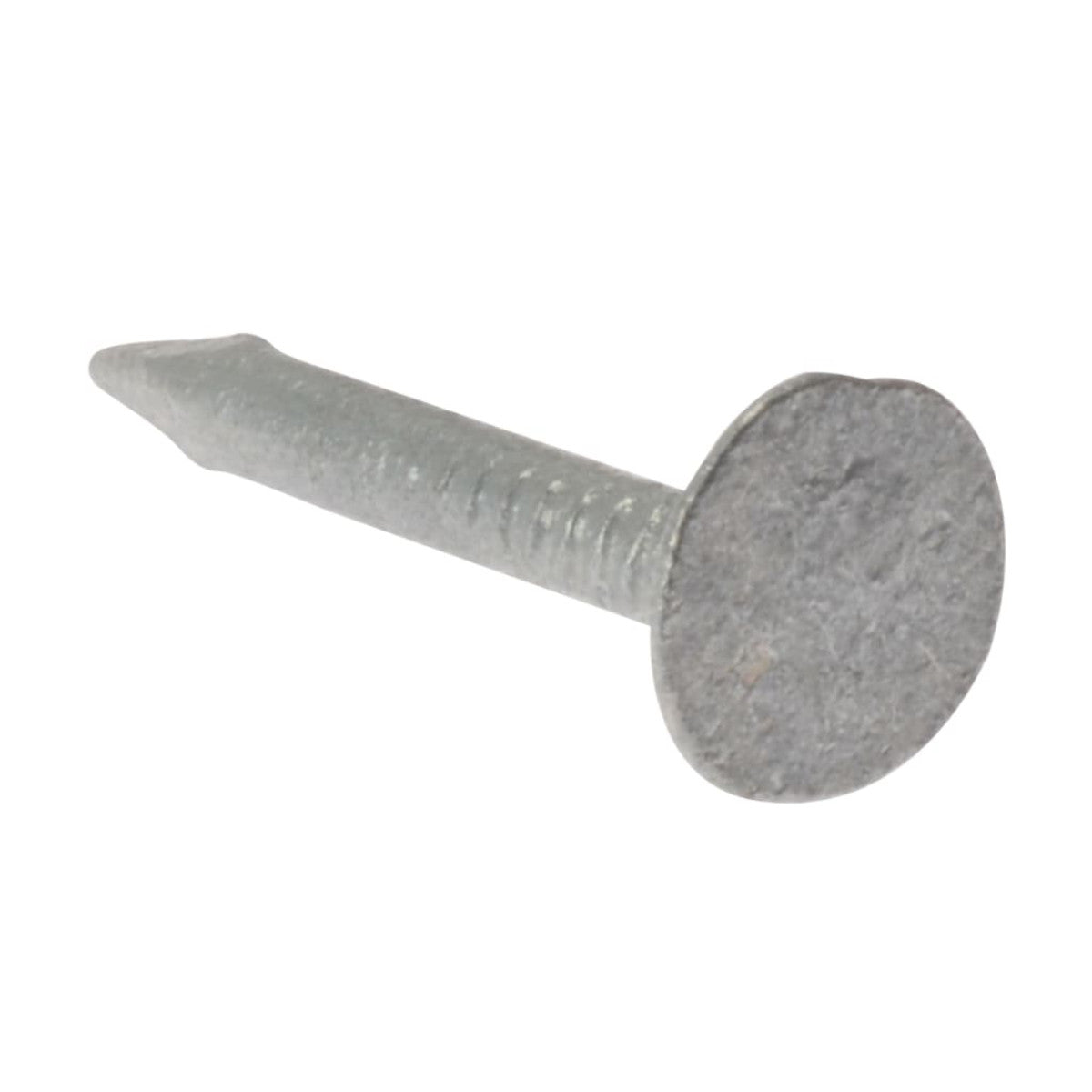 ForgeFix Clout Nail Extra Large Head Galvanised 30mm (2.5kg Bag) FORELH30GB21