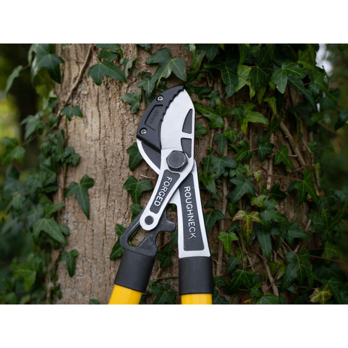 Roughneck XT Pro Anvil Loppers 765mm (30in) ROU66865